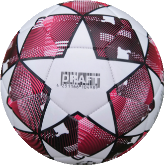 UEFA CHAMPION soccer ball