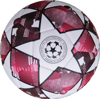 UEFA CHAMPION soccer ball