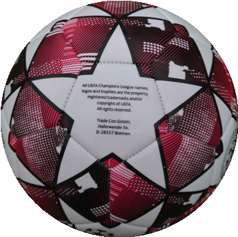 UEFA CHAMPION soccer ball