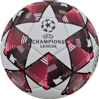 UEFA CHAMPION soccer ball