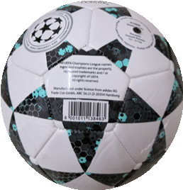 UEFA CHAMPION soccer ball