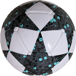 UEFA CHAMPION soccer ball