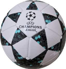 UEFA CHAMPION soccer ball
