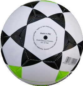 UEFA CHAMPION soccer ball