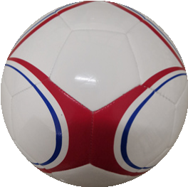 FIFA-IMS soccer ball 