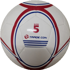 FIFA-IMS soccer ball 