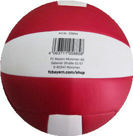 MIA SAN MIA volleyball