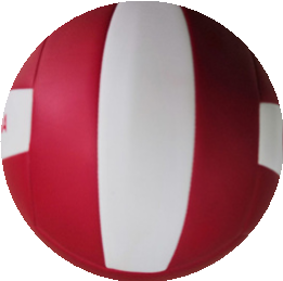 MIA SAN MIA volleyball