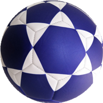 UEFA CHAMPION soccer ball