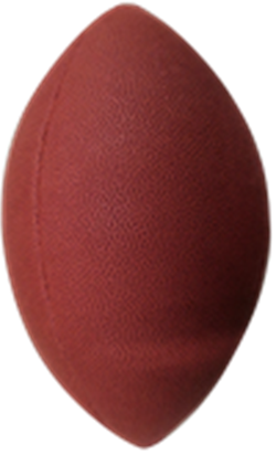 ALDI American football