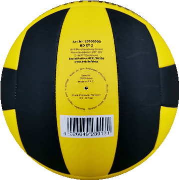 BVB-Volleyball