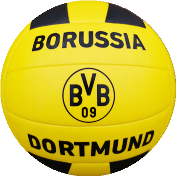 BVB-Volleyball