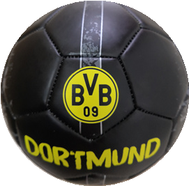 BVB soccer ball