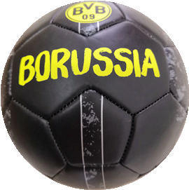 BVB soccer ball