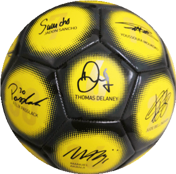 BVB-Signature soccer ball