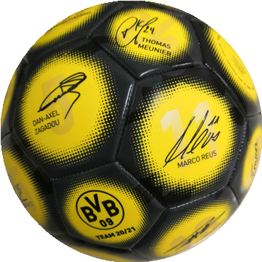 BVB-Signature soccer ball