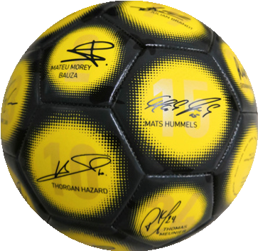 BVB-Signature soccer ball