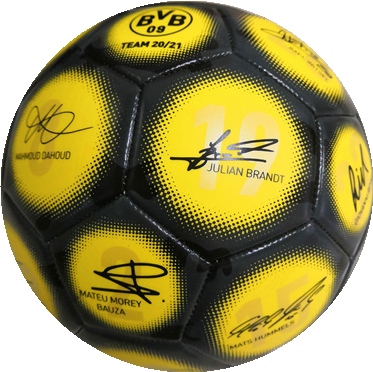 BVB-Signature soccer ball