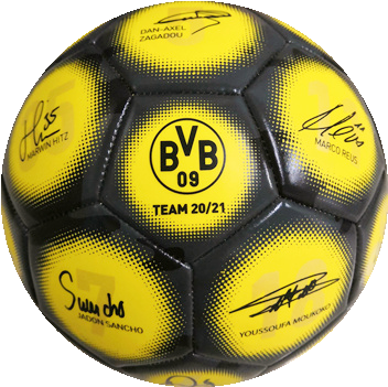 BVB-Signature soccer ball