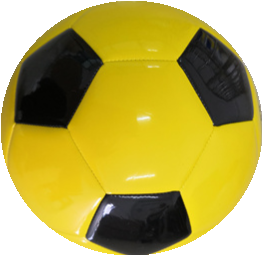 BVB-soccer ball