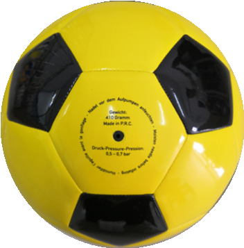 BVB-soccer ball