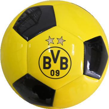BVB-soccer ball