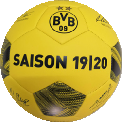 BVB Signature soccer ball