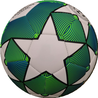 EURO2020-CHAMPION soccer ball