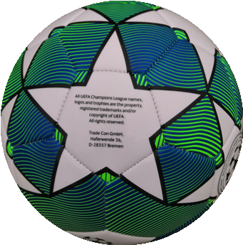 EURO2020-CHAMPION soccer ball