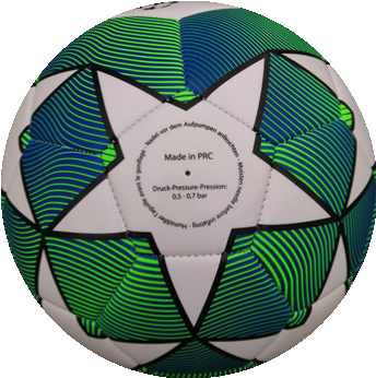 EURO2020-CHAMPION soccer ball