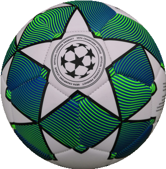 EURO2020-CHAMPION soccer ball