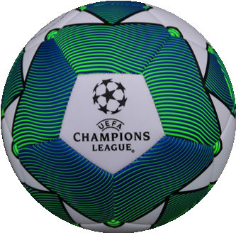 EURO2020-CHAMPION soccer ball