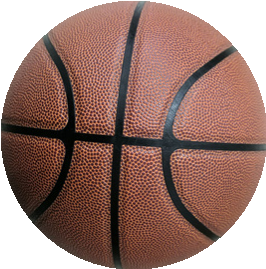 PRO TOUCH Basketball