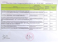 Adidas Certificate