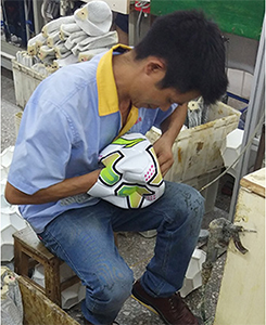 Proceso de Ensamblaje